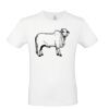 T-shirt Maglietta personalizzata uomo Stampata e Spedita in 24 ore Thumbnail