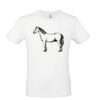 T-shirt Maglietta personalizzata uomo Stampata e Spedita in 24 ore Thumbnail