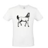 T-shirt Maglietta personalizzata uomo Stampata e Spedita in 24 ore Thumbnail