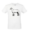 T-shirt Maglietta personalizzata uomo Stampata e Spedita in 24 ore Thumbnail