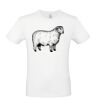 T-shirt Maglietta personalizzata uomo Stampata e Spedita in 24 ore Thumbnail