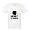 T-shirt Maglietta personalizzata uomo Stampata e Spedita in 24 ore Thumbnail